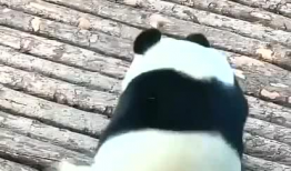 挠痒痒搞笑视频,笑出腹肌的欢乐瞬间